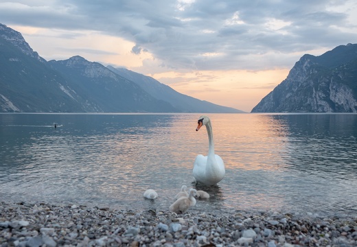 04. Juni 2018 Olympus E-M5MarkII OLYMPUS M.7-14mm F2.8