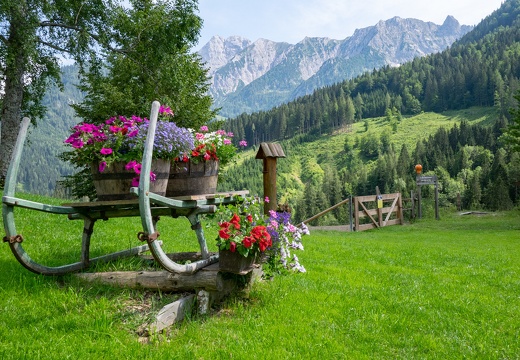 4 Juli 2018 Puglalm, Hengstpass