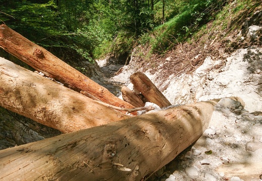 21 Juni 2018 Hintergebirge Föhrenbach