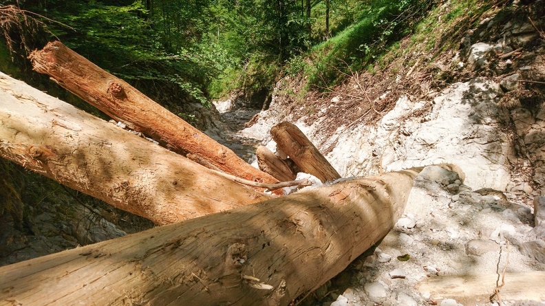 20180621_Föhrenbach_011.jpg