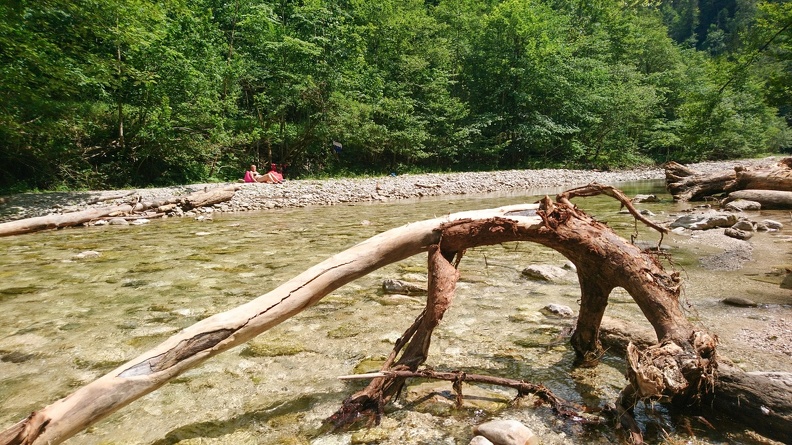 20180621_Föhrenbach_017.jpg