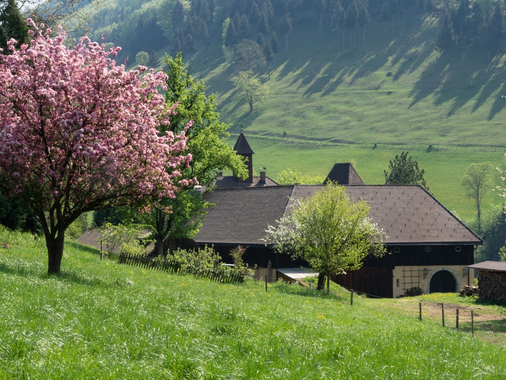 Schloss Hammeries bei Losenstein