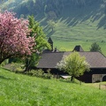 Schloss Hammeries bei Losenstein