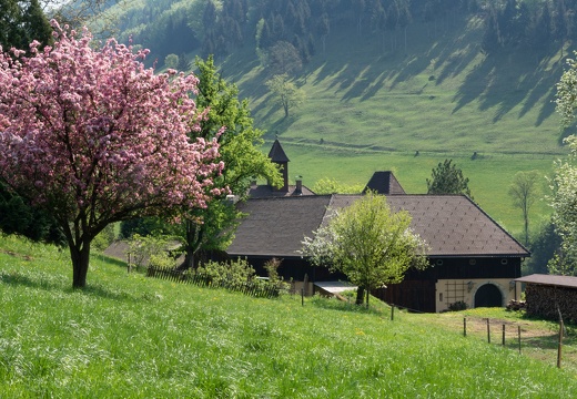 Schloss Hammeries bei Losenstein