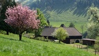 Schloss Hammeries bei Losenstein