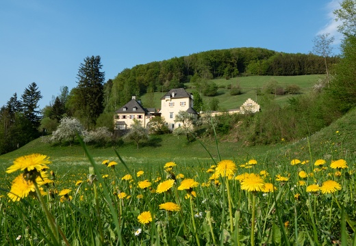 Hammerschlössl in Laussa