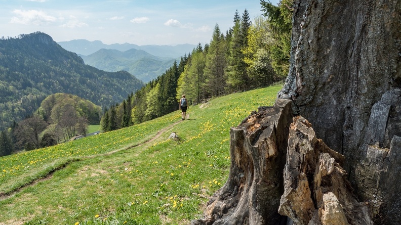 20180425_Grünburgerhütte_008.jpg