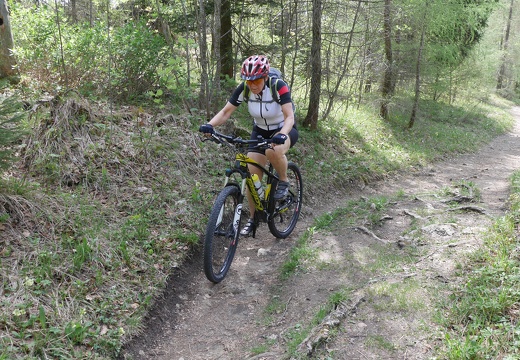 Am Weg zur Schosserhütte