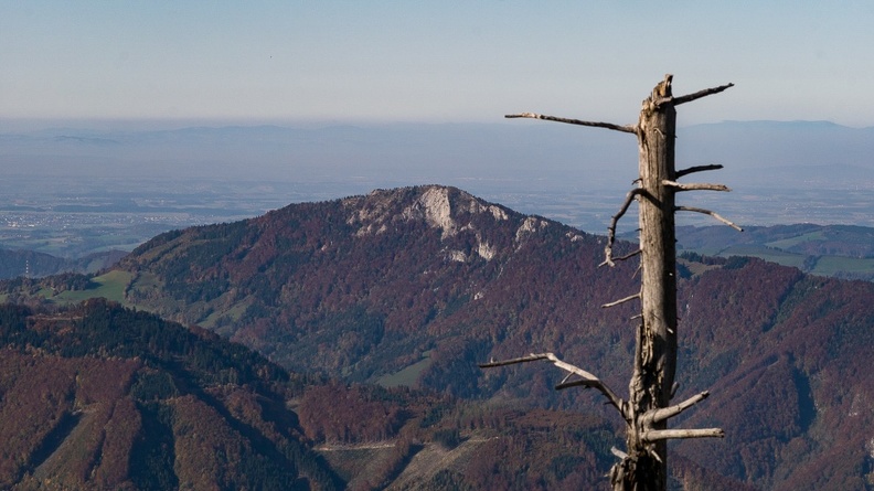 20171017_Almkogel_005_Panasonic_DMC-GM1_OLYMPUS M.75mm F1.8-3.jpg