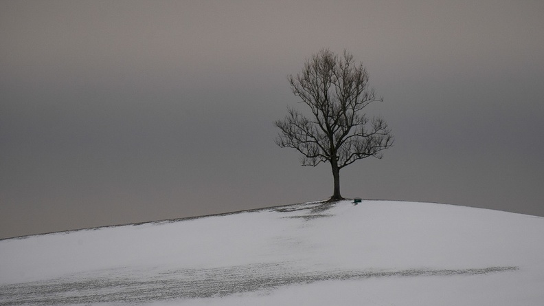 20171210_Oberdambach_001_Panasonic_DMC-GM1_LUMIX G VARIO 100-300-F4.0-5.6_653 mm-3.jpg