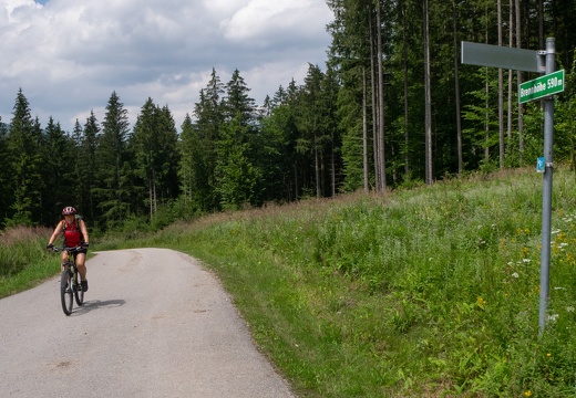 12. Juli 2018 Brennhöhe 001 Panasonic DMC-GM1 OLYMPUS M.14-42mm F3.5-5.6 EZ