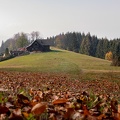 19. Oktober 2018