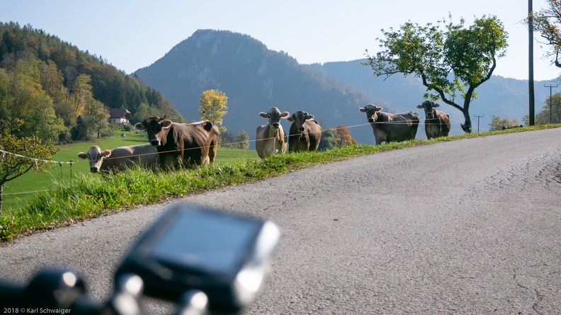 Trattenbach, Kienberg - Panasonic DMC-GM1 OLYMPUS M.14-42mm F3.5-5.6 EZ 16. Oktober 2018.jpg