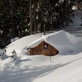 19. Januar 2019.jpg