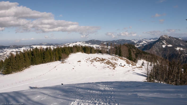 H.Dirn - Panasonic DMC-GM1 OLYMPUS M.14-42mm F3.5-5.6 EZ 08. Februar 2019.jpg