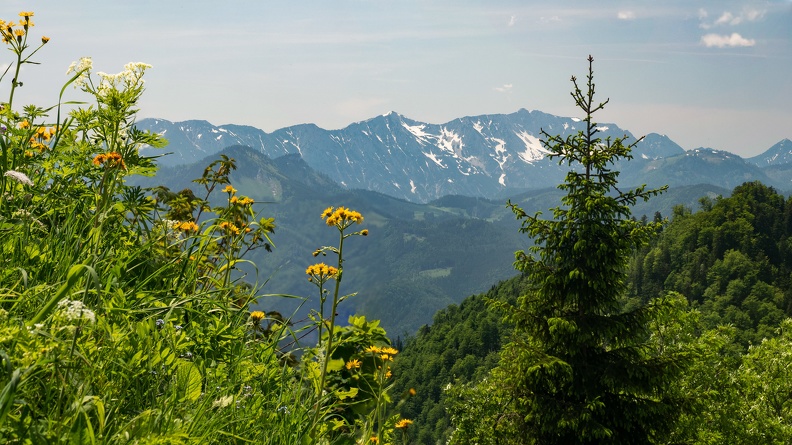 Ennser Hütte - Olympus PEN-F OLYMPUS M.12-100mm F4.0 09. Juni 2019.jpg