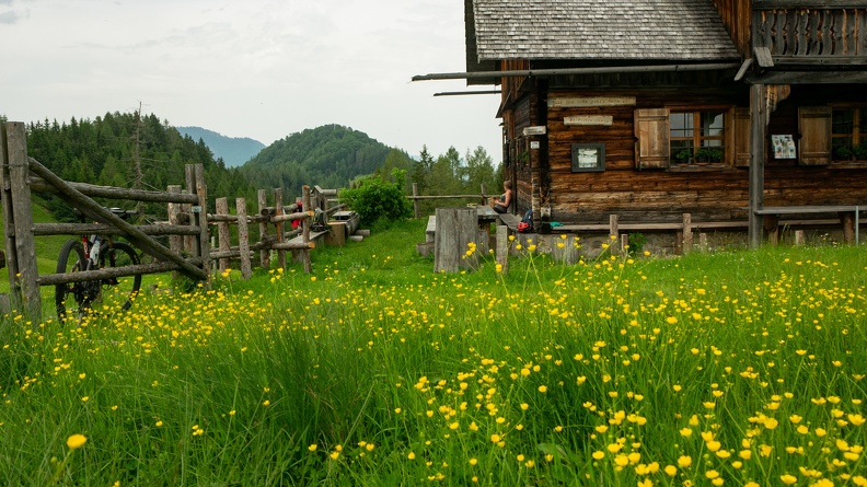 Blabergalm - Panasonic DMC-GM1 OLYMPUS M.14-42mm F3.5-5.6 EZ 10. Juni 2019.jpg