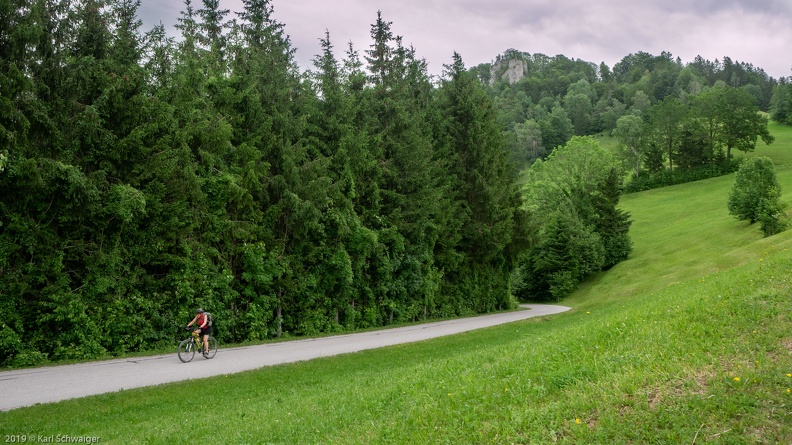 Laussa, Sauzahn - Panasonic DMC-GM1 OLYMPUS M.14-42mm F3.5-5.6 EZ 15. Juni 2019.jpg