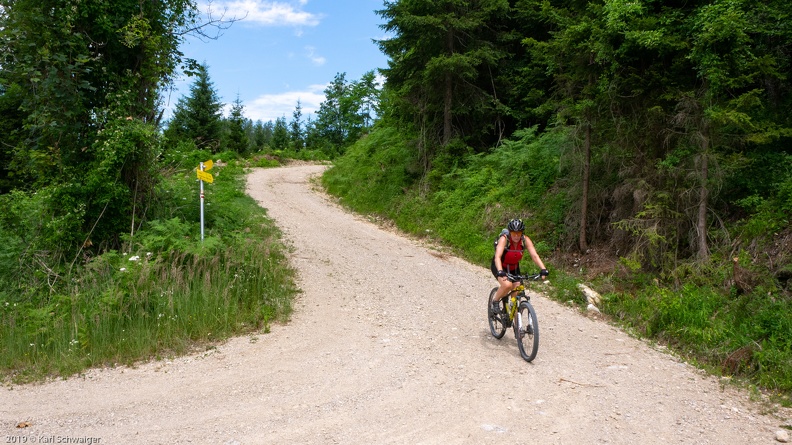 Hintergebirge, Ortbauernalm - Panasonic DMC-GM1 OLYMPUS M.14-42mm F3.5-5.6 EZ 06. Juli 2019.jpg