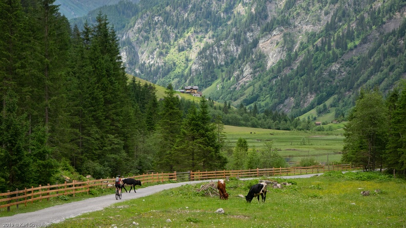 Großarl, Talschluß - Panasonic DMC-GM1 OLYMPUS M.14-42mm F3.5-5.6 EZ 23. Juni 2019.jpg