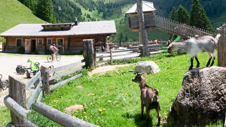 Großarl, Unterwandalm - Panasonic DMC-GM1 OLYMPUS M.14-42mm F3.5-5.6 EZ 24. Juni 2019.jpg
