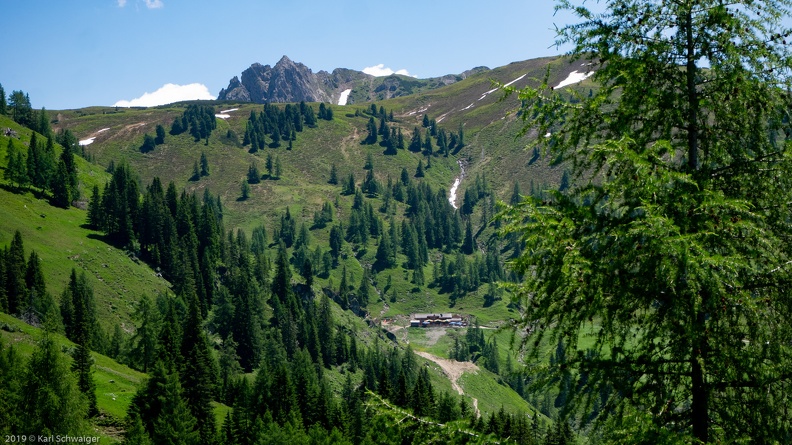 Großarl, Losbühelalm - Panasonic DMC-GM1 OLYMPUS M.14-42mm F3.5-5.6 EZ 25. Juni 2019.jpg