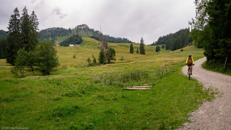 Ebenforstalm - Panasonic DMC-GM1 LUMIX G 14/F2.5 24. August 2019.jpg