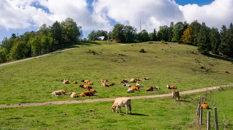H.Dirn, Schosserhütte - Panasonic DMC-GM1 OLYMPUS M.14-42mm F3.5-5.6 EZ 18. September 2019.jpg