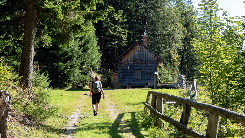 Am Sauboden, 1152m - Olympus E-M5MarkII OLYMPUS M.12-100mm F4.0 21 September 2019.jpg