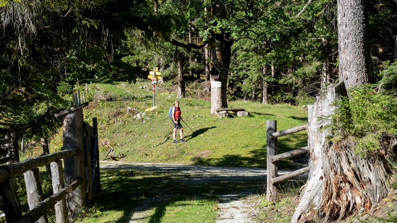 Am Sauboden, 1152m - Olympus E-M5MarkII OLYMPUS M.12-100mm F4.0 21 September 2019.jpg