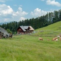 08. Juni 2007
