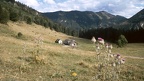 Gschwendtalm, 1990