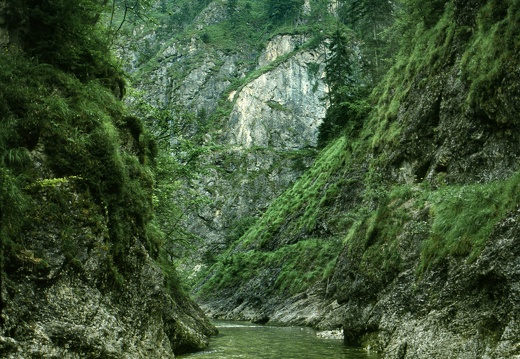 Gr.Bach, Triftsteig, Hohe Stiege, 1983