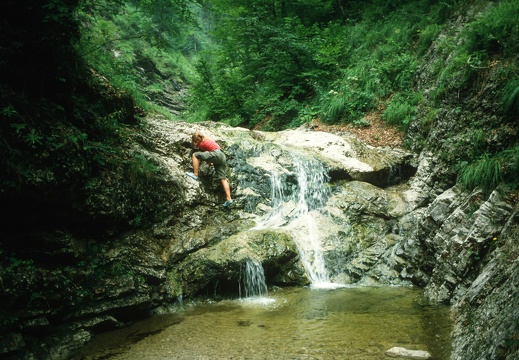 Gr. Föhrenbach, 1983