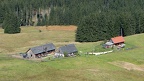 Ebenforstalm, 2014