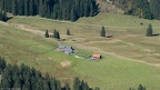 Ebenforstalm, 2014
