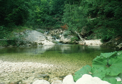 Hintergebirge, 1983