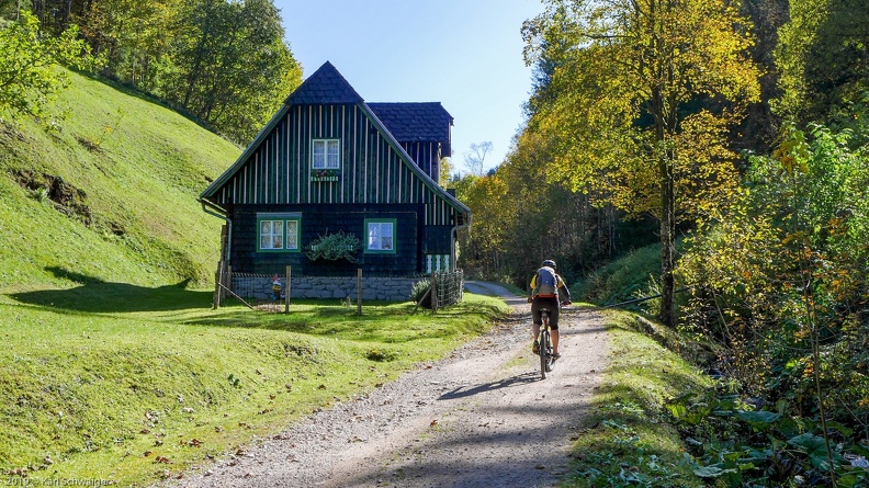 Hintergebirge, Mooshöhe - Panasonic DMC-GM1 OLYMPUS M.14-42mm F3.5-5.6 EZ 12. Oktober 2019.jpg