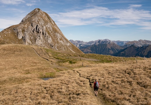 Wildfeld_Stadelstein