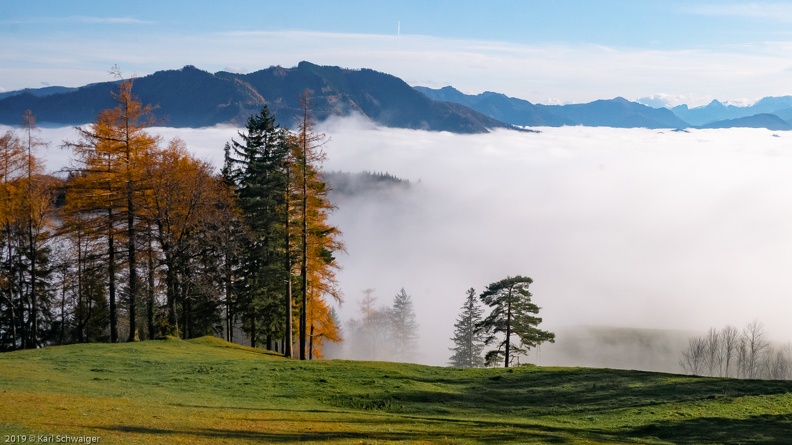 H.Dirn - Panasonic DMC-GM1 LUMIX G 14/F2.5 21. November 2019.jpg
