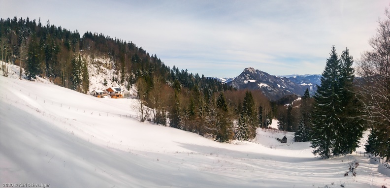 H.Dirn - Sony F5321 13. Februar 2020.jpg
