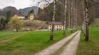 29. März 2020