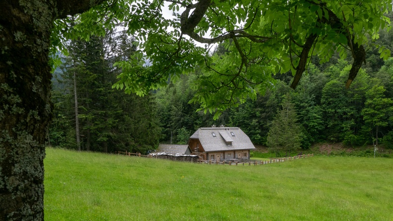 Hengstpasshütte - Panasonic DMC-GM1 LUMIX G 14/F2.5 30. Juni 2020.jpg