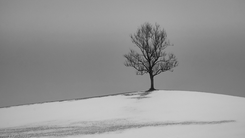 Oberdambach 10. Dezember 2017.jpg