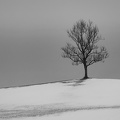 10. Dezember 2017