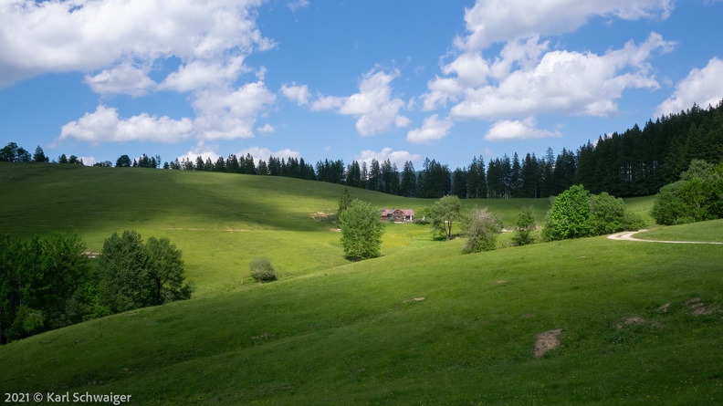 Anlaufalm 13. Juni 2021.jpg