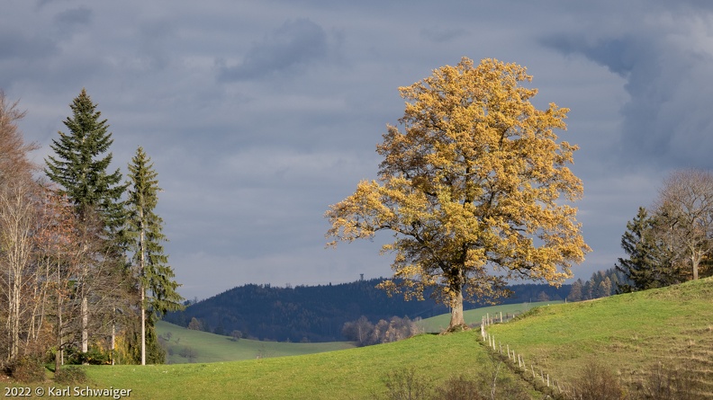 Großternberg 20221120_005.jpg
