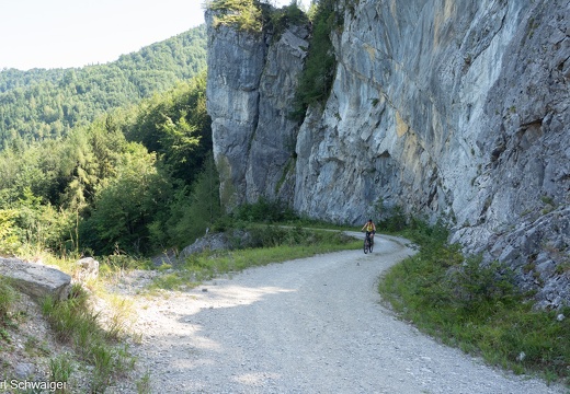 31. Juli 2024