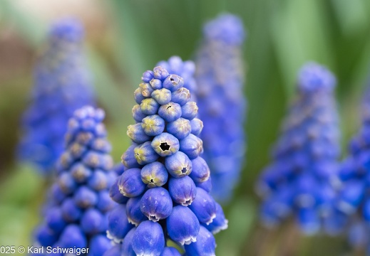 02. April 2025