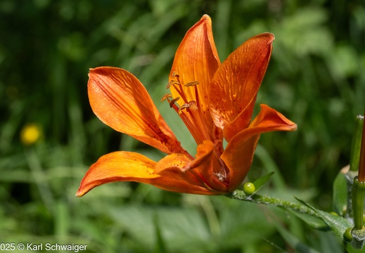 05. Juli 2025